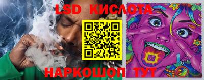альфа пвп Берёзовский
