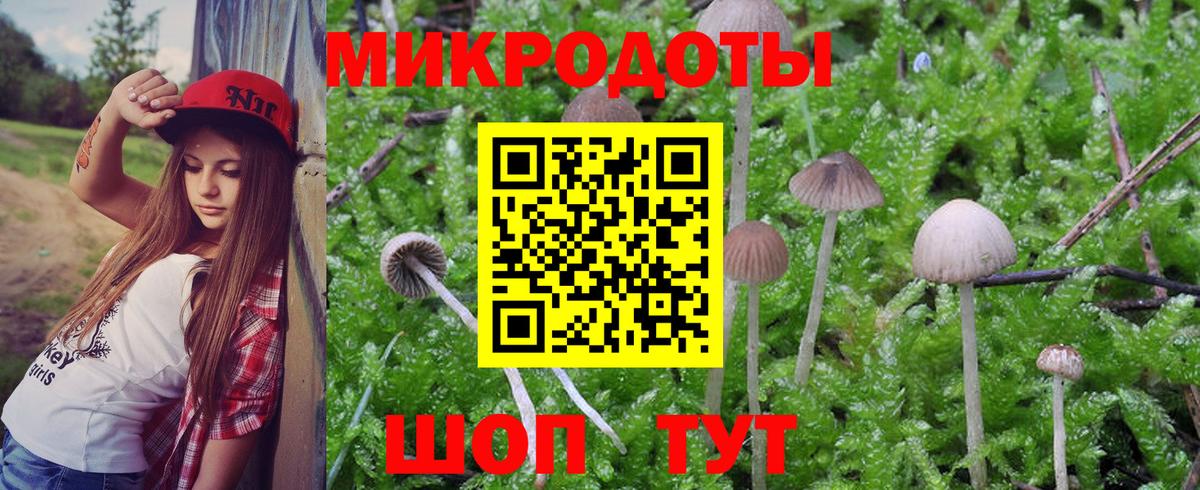 Выкса  Псилоцибиновые грибы мухоморы  Вход с VPN 